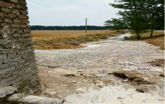 区内没有设置废水排放冲刷点